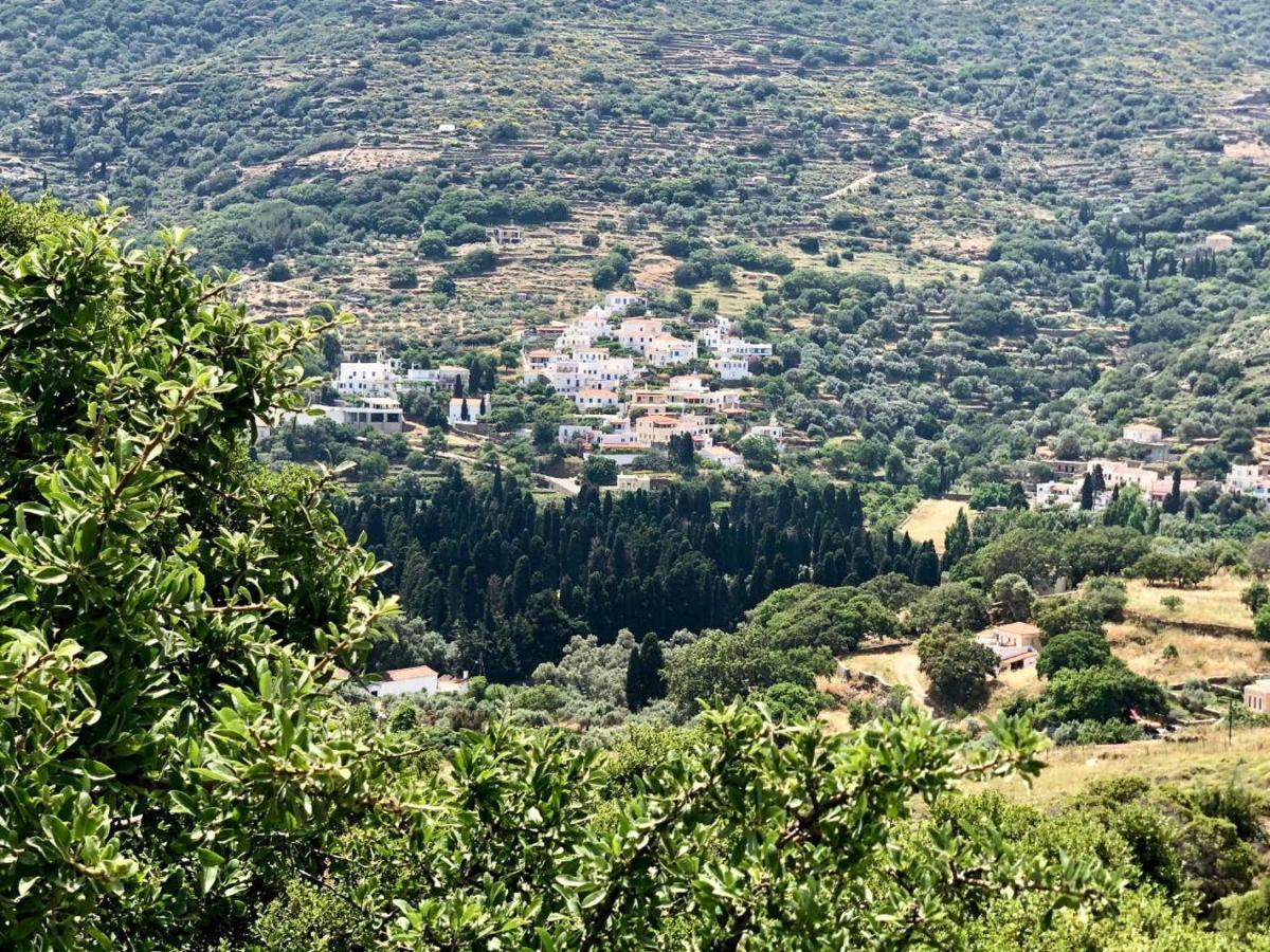 Villa Andros Epoque Livádhia Exterior foto